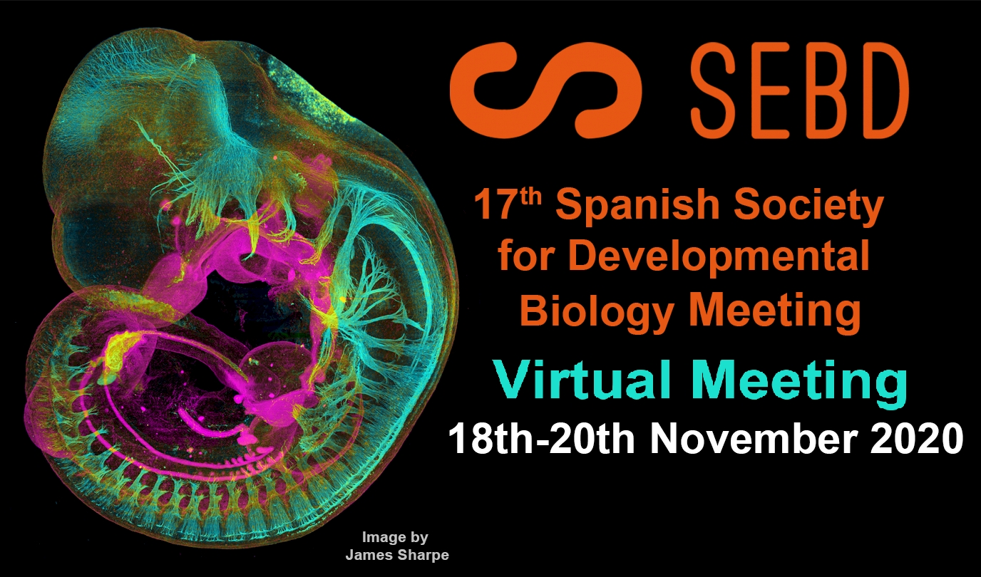 Sociedad Española de Biología del Desarrollo